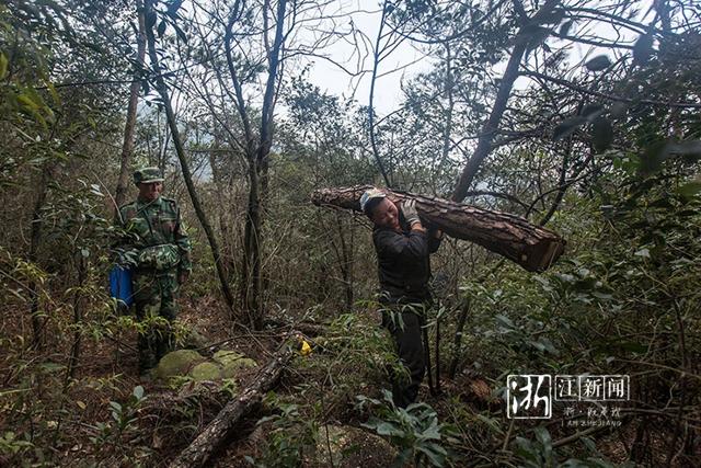 守山37年长兴小浦董小腊获评浙江最美护林员