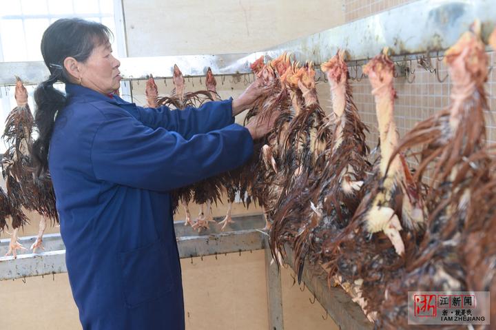 杭州径山毛腌鸡开始制作 其貌不扬却是农家美味