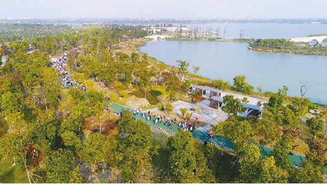 鹃湖公园内,市民们开展迎新年健步走活动.