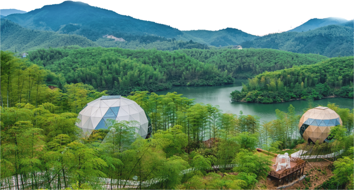 首个全国乡村振兴林业示范县安吉:不砍一棵树,一样能