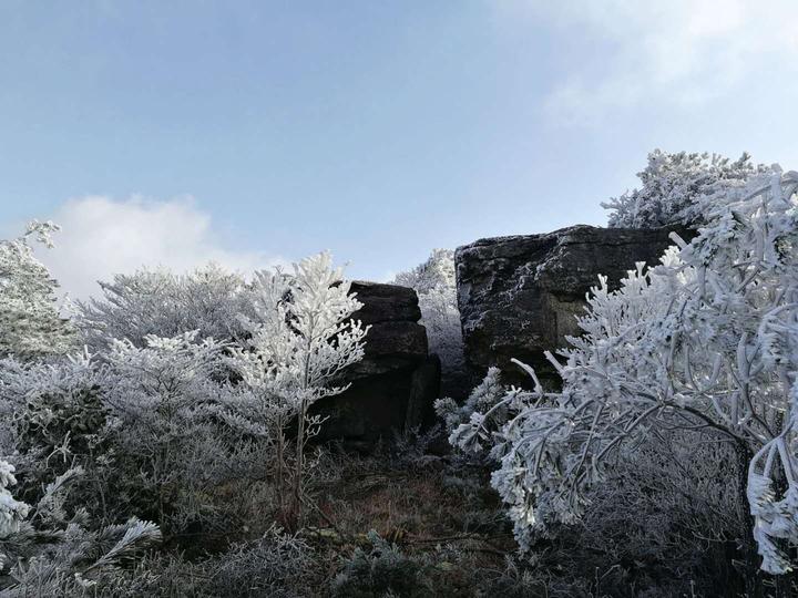 蓝天加雾凇!快来缙云大洋山感受"冰雪奇缘"