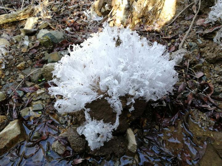 蓝天加雾凇快来缙云大洋山感受冰雪奇缘