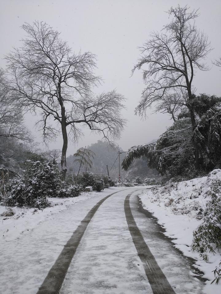 次坞镇凰桐村荪溪坞自然村雪景.杨新华 摄海亮实验中学.