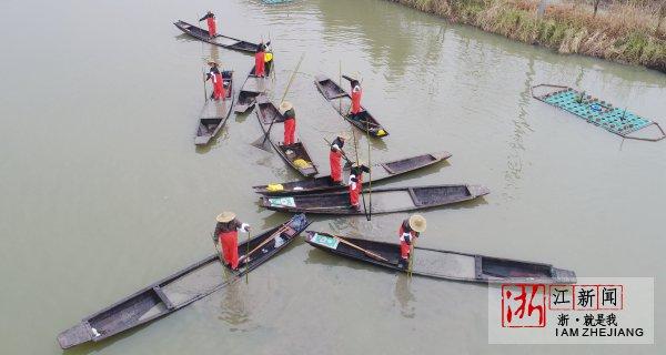 德清捻河泥助治水