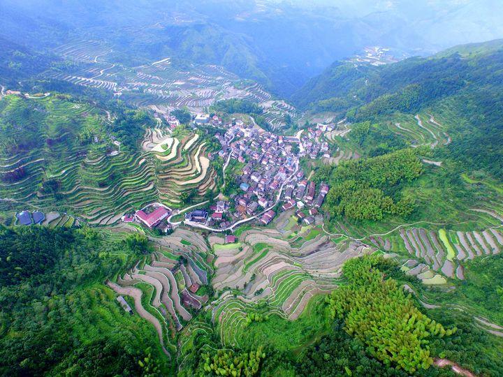 青田县小舟山乡丨如何下活青田小舟山这盘乡村旅游的