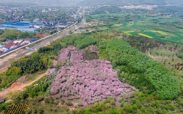 长兴齐山植物园