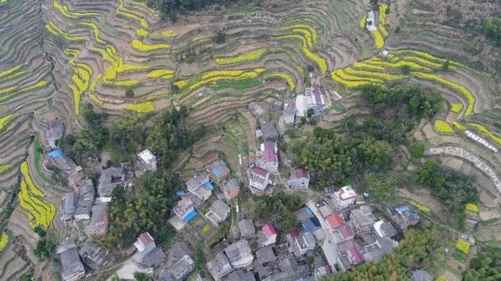 乡愁花都天台山等你来