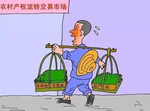 厉害了!浙江农村集体产权制度改革亮相全国