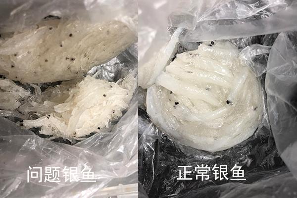 买来银鱼给孩子吃了三天发现里面竟含有这种东西