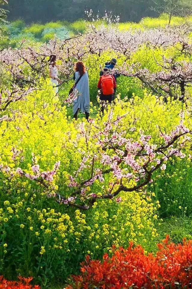 长兴城山沟 图片来源:长兴旅游(太平洋@渔翁 摄)