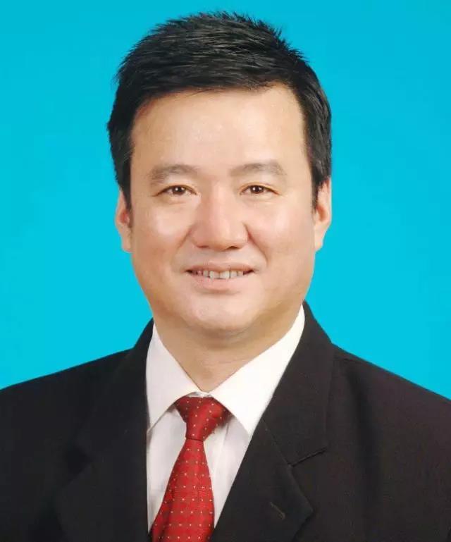 陈善平