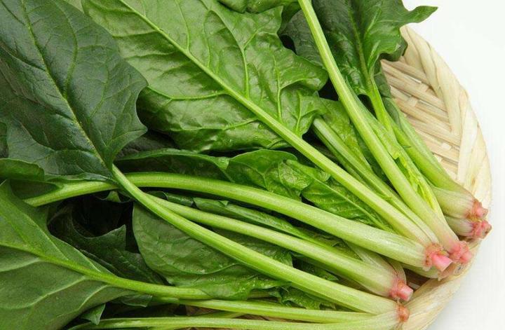 菠菜护眼明目