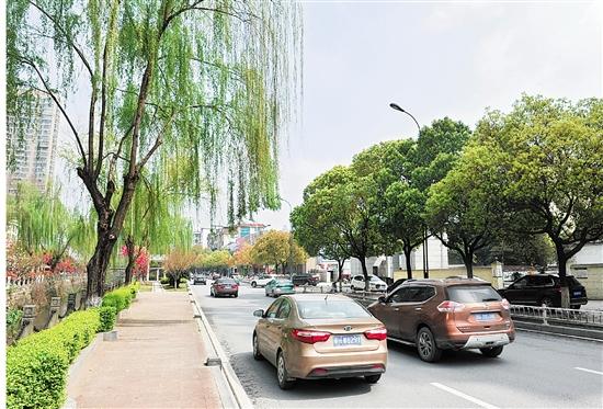 市区人民路整洁的柏油路与有序的交通构成了一幅和谐景象.