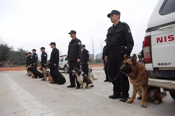 神犬是怎样炼成的?解密温州神秘警犬基地