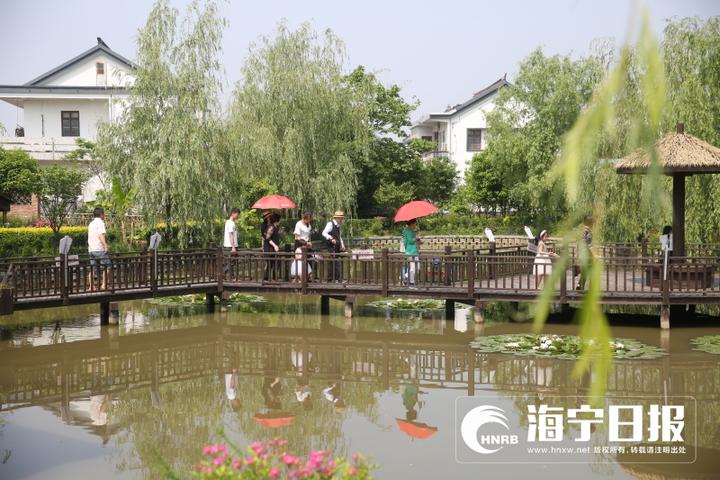 乡村变景区乐游在海宁