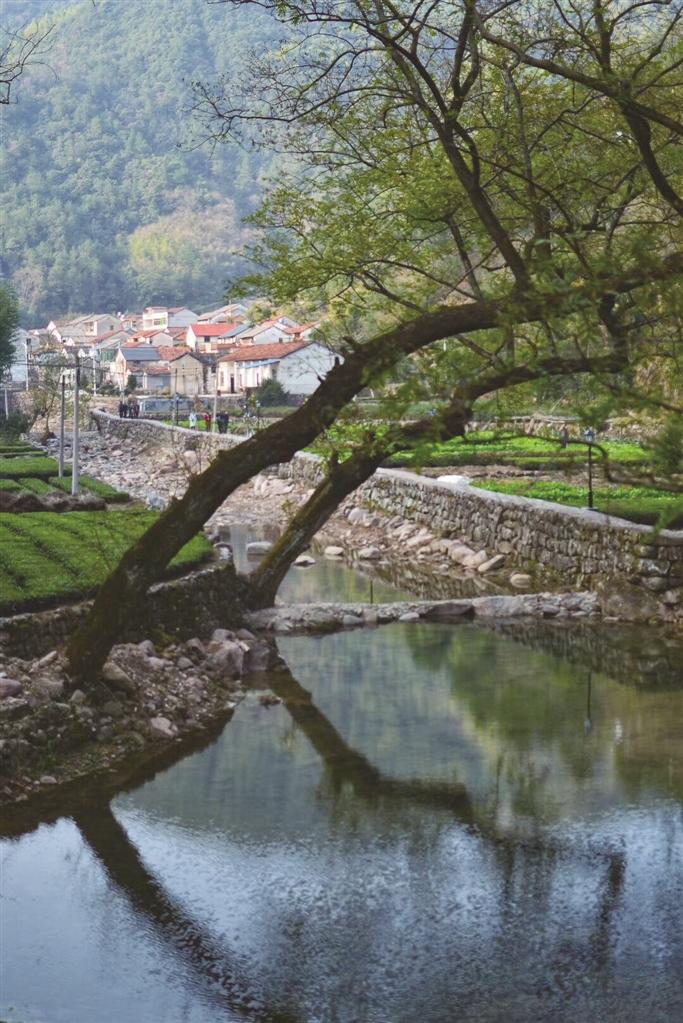 石璜江三溪段自北而南纵贯嵊州市石璜镇三溪村,徐家培村,全长2.5公里.