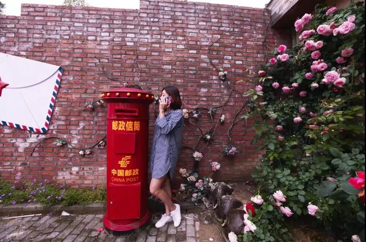 玫瑰长廊,玫瑰花墙,玫瑰木屋.