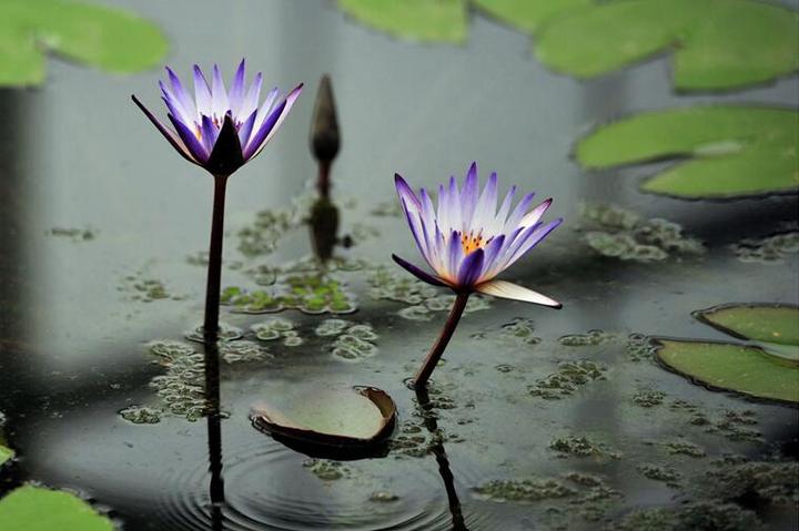 闷热过后的这场及时雨 带你开启清爽晴朗的一周