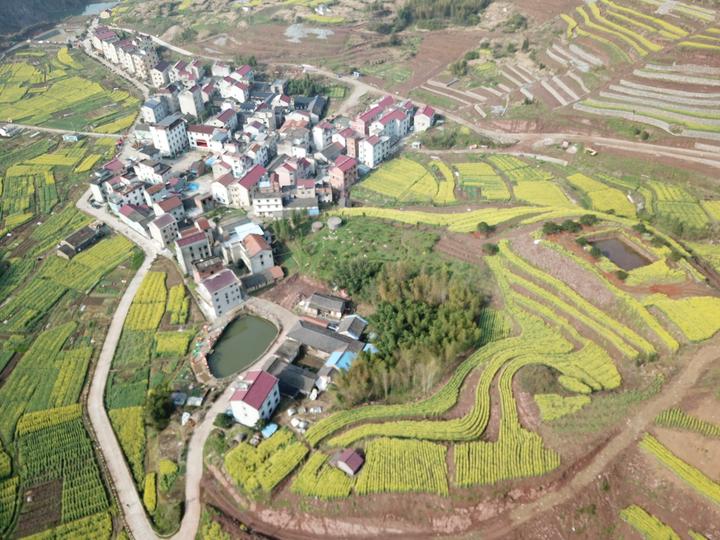 资料图片近日,记者走进东阳市佐村镇斯光村,只见郭兰花,马桂香,郭茂仙