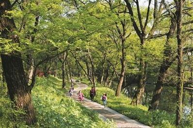 永康今年实施54项生态廊道项目