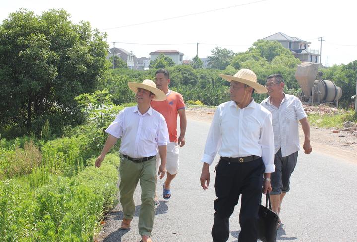 浙江在线金华频道 即时报道 团长:钱瑞华,男,70岁,担任竹马乡下张家