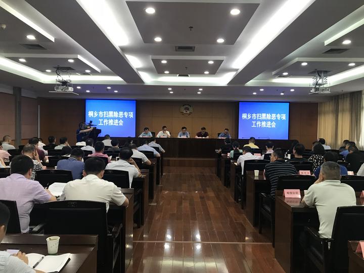 桐乡召开扫黑除恶专项工作推进会