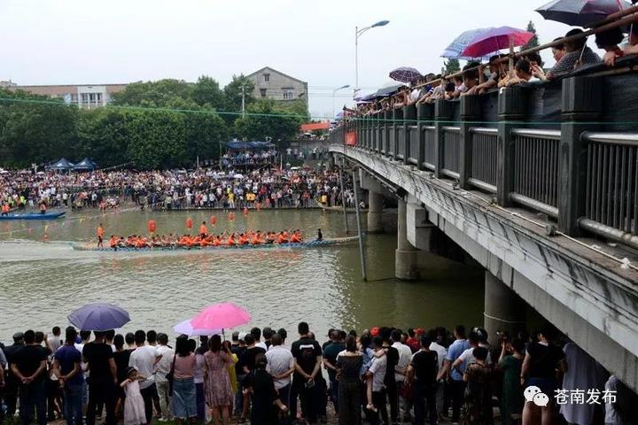 端午级别,看苍南66支龙舟队上演佳节与激情王海v级别运动员是什么速度图片