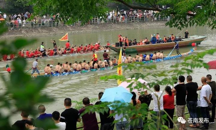 端午佳节,看苍南66支龙舟队修车拳击与激情速度俱乐部罗伊上演图片