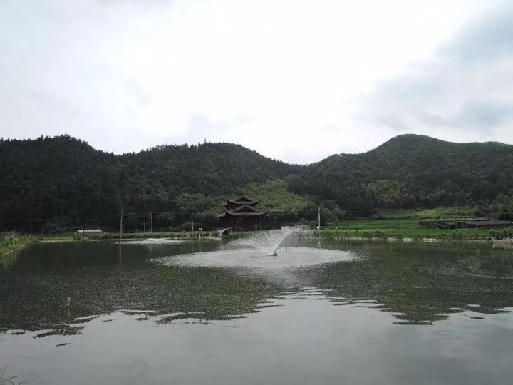 庆元亲水河道遂昌:湖山乡福罗淤遂昌湖山乡青田:飞鹤山庄露天游泳池