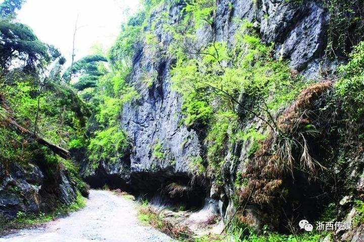 常山古泉水,从这道石缝开始-衢州频道