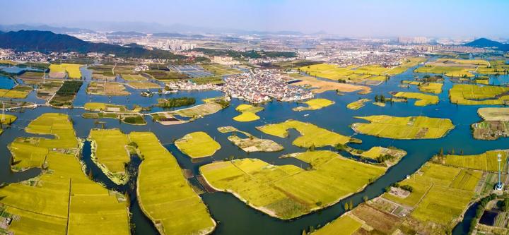 柯桥区兰亭街道张家葑基本农田 胡劲松 摄近日,绍兴市印发《关于