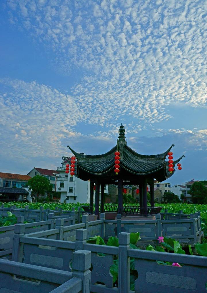 摄影师驾到 | 金华人眼中的世界(8.5)