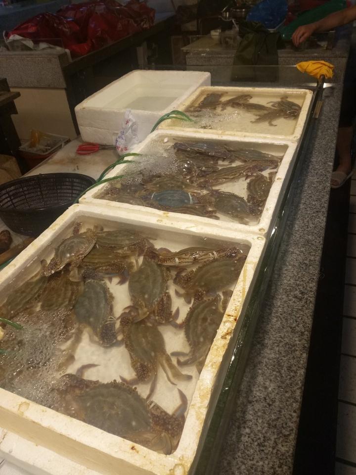 温州 新鲜的虾兵蟹要上餐桌啦 江蟹赤虾等海鲜批发价腰斩 近日,温州市