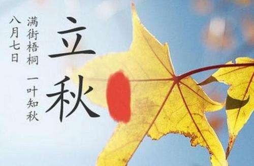 立秋节气丨一叶知秋 夏天难道就这样过去了么?