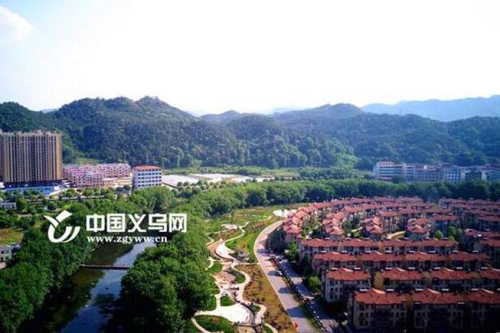 义乌大陈镇:全员参与"干"镇区环境"变"