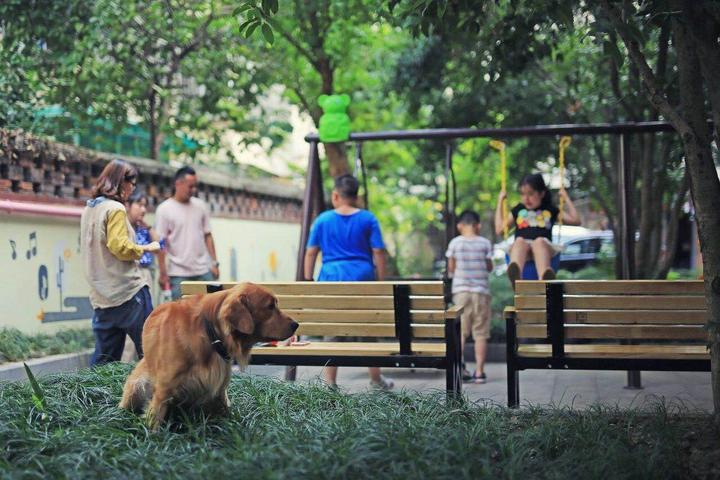 老小区来了群年轻人拱墅大塘巷社区迎来逆生长