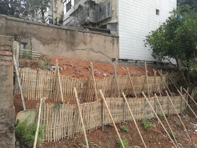 浙电开关厂老小区的美丽蜕变