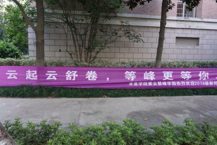 自从它们出现在校园暑假也就结束了 浙大萌式标语迎新