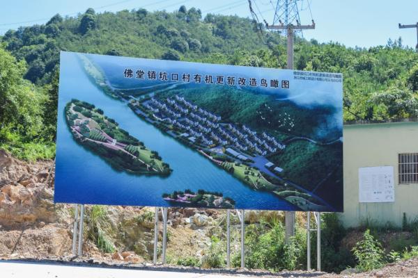 走进义乌坑口村:宅基地三权分置的沿海内地之差