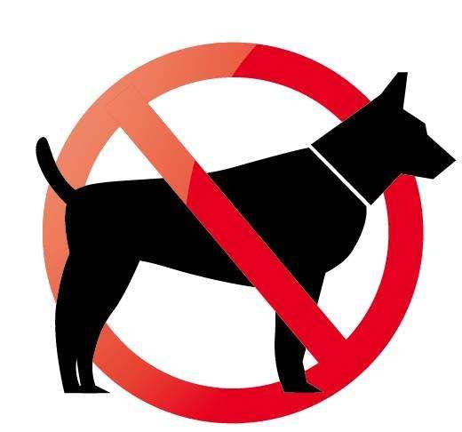 婺城区开展犬类专项整治行动违规养犬要重罚