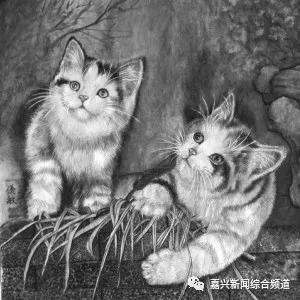 海宁七旬老人爱猫如痴 年用心画