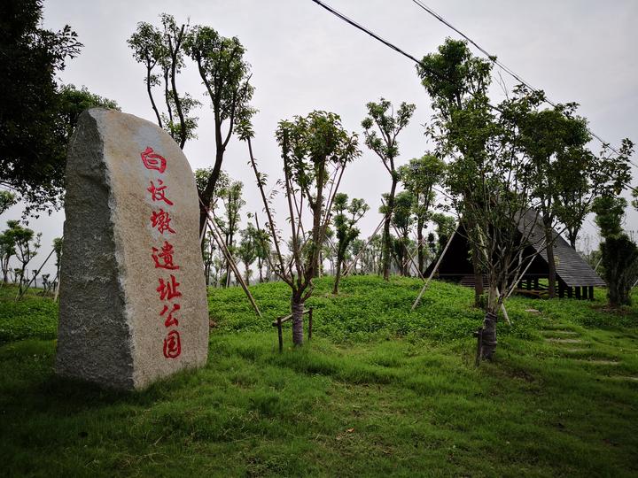 传统祭祀庆丰收南湖凤桥镇喜迎首个农民丰收节