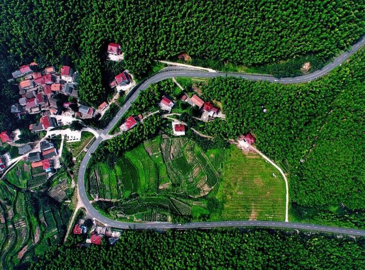 一路一景,路生美景,到过安吉横山坞村目莲坞自然村的人,都会被这里