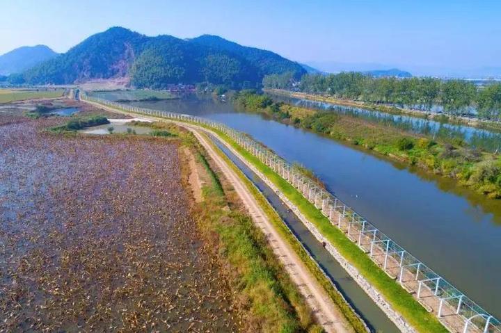 十一出游好去处诸暨这两个地方新晋省级最美田园