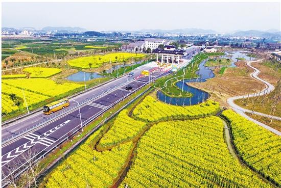 丽水 浙江日报整版点赞丨松阳南城文教区块项目攻坚战 与竹溪村一样