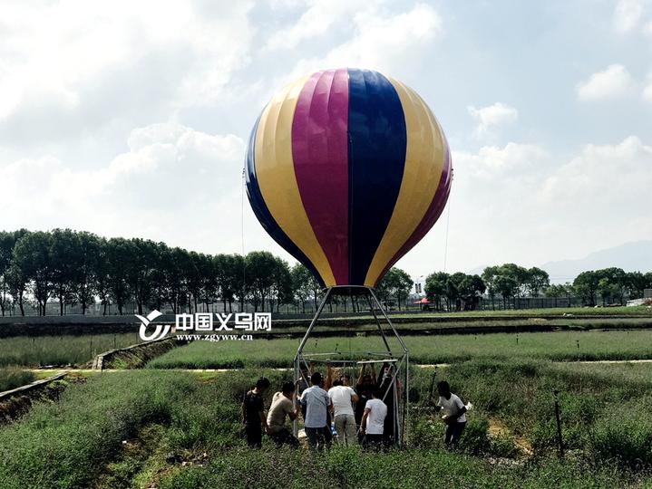 "十一"又添休闲好去处 义乌布谷鸟生态园等你来