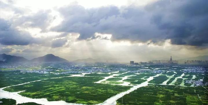温州三垟湿地公园"十一"开园!记者提前为你"探营"