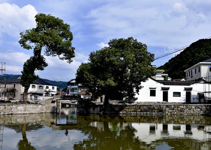 村里也借势发展乡村旅游,如今,村里每年接待游客达10万余