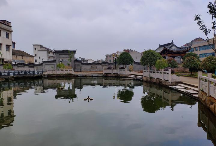 上周塘面积2亩左右,景色丰富,池边一片开阔空地种