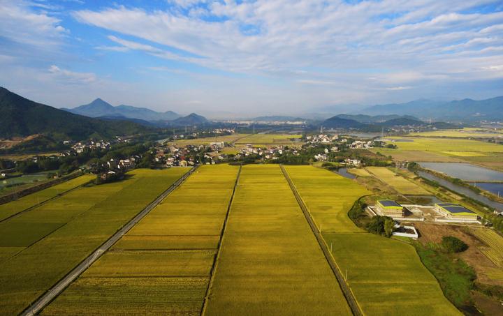 "禹上田园"织锦绣 余杭农业"两区"助推乡村振兴